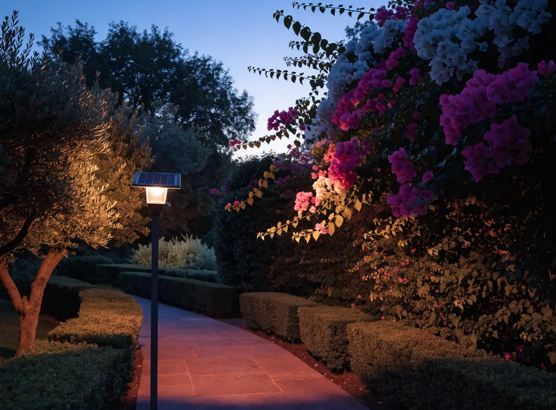 Lampadaire solaire de jardin éclairant une allée